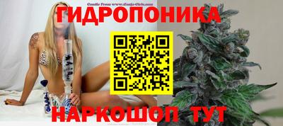 гидра Свободный
