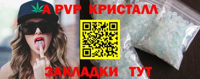 СК Рязань