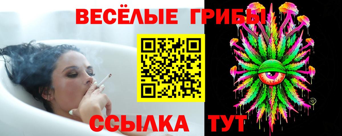 Псилоцибиновые грибы прущие грибы Отрадное