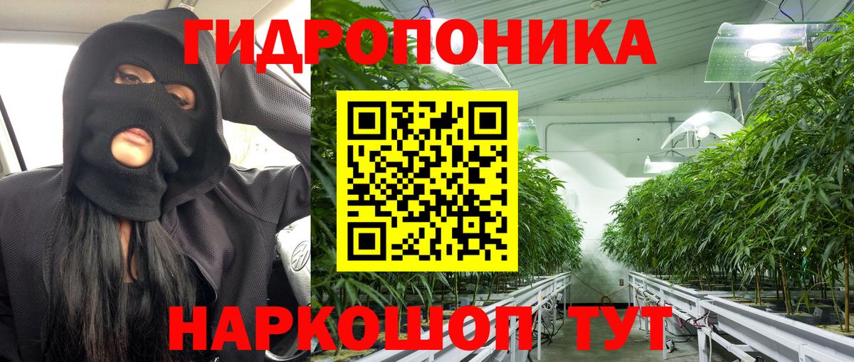 Бошки марихуана гибрид  Вход с VPN  Бошки марихуана Bruce Banner  Бошки марихуана THC 21%  Отрадное 